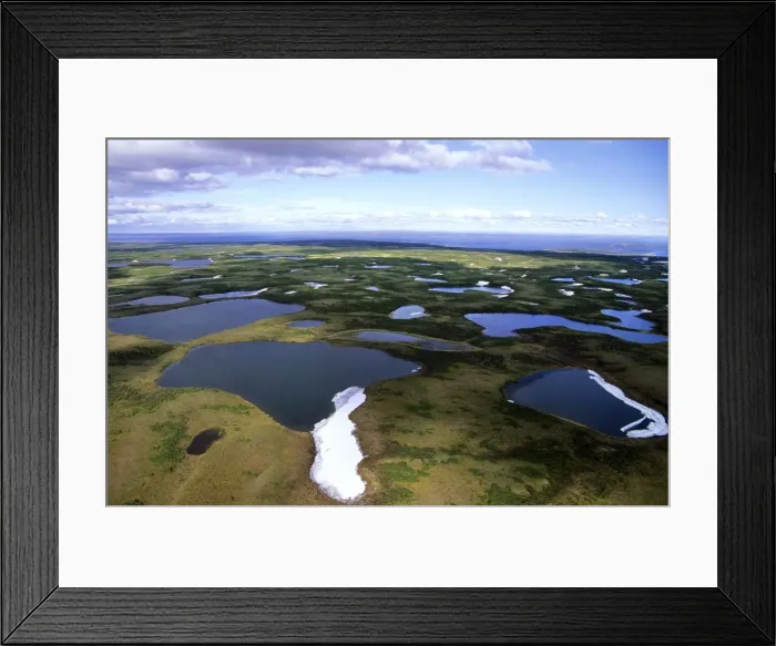 Framed Print : Semi-tundra, aerial view from a helicopter. A typical landscape near large lake Pyasina, Taimyr peninsula, North of Siberia, Russian Arctic, summer. Di33. 1897 Framed Print : Semi-tundra, aerial view from a helicopter. A typical landscape near large lake Pyasina, Taimyr peninsula, North of Siberia, Russian Arctic, summer. Di33. 1897
