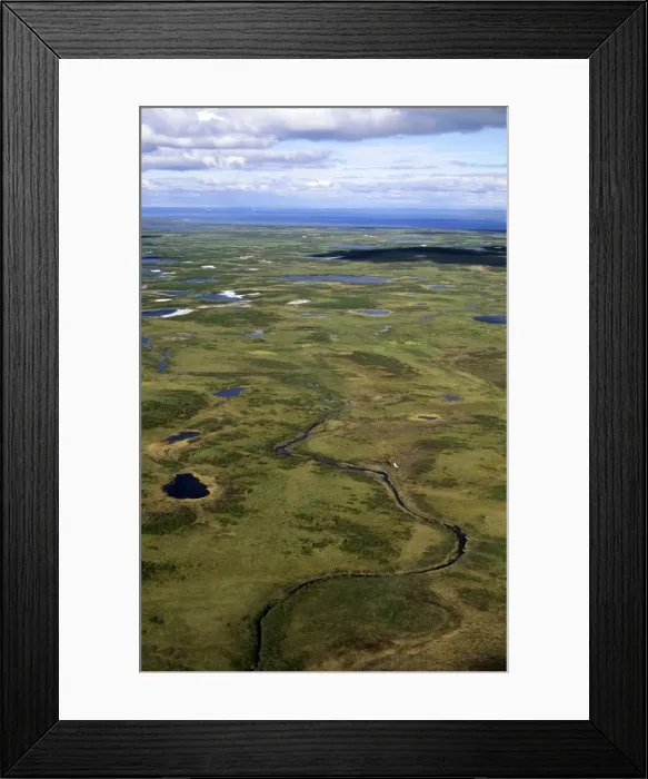Framed Print : Semi-tundra, aerial view from a helicopter. A typical landscape near large lake Pyasina, Taimyr peninsula, North of Siberia, Russian Arctic, summer. Di33. 1904 Framed Print : Semi-tundra, aerial view from a helicopter. A typical landscape near large lake Pyasina, Taimyr peninsula, North of Siberia, Russian Arctic, summer. Di33. 1904