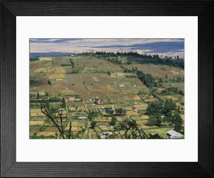 Framed Print : Kenya ASW 2461 Subsistence farming © Alan Weaving / ARDEA LONDON Framed Print : Kenya ASW 2461 Subsistence farming © Alan Weaving / ARDEA LONDON