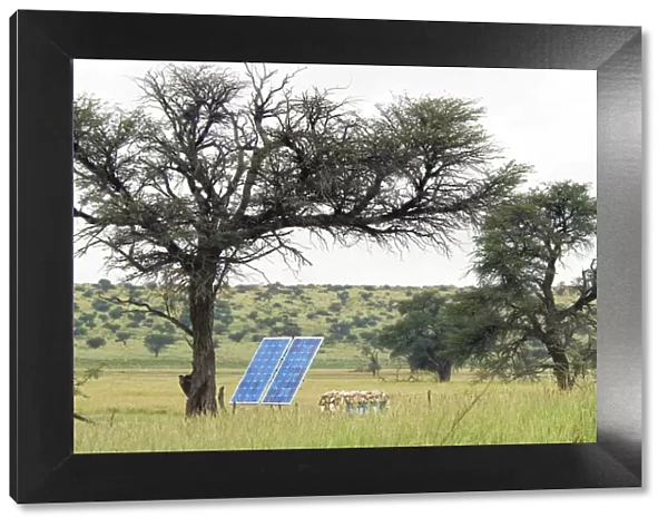 Solar panel for powering water pump at waterhole, replacing previous windmill. Kgalagadi Transfrontier Park, Northern Cape, South Africa