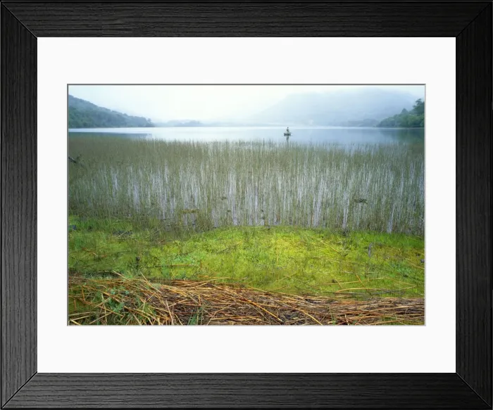 Framed Print : Chile - the lagoon is popular for it's Trout fishing and surrounding mountains. 9th Region, Tolhuaca National Park, Laguna del Malleco Framed Print : Chile - the lagoon is popular for it's Trout fishing and surrounding mountains. 9th Region, Tolhuaca National Park, Laguna del Malleco