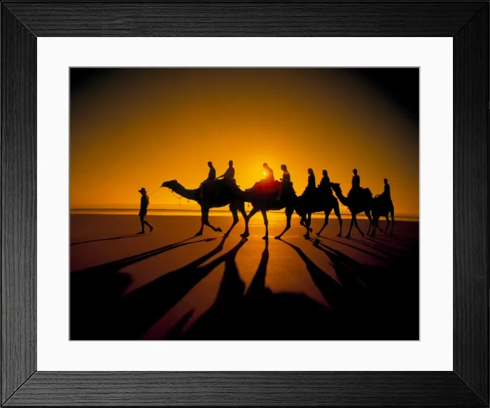 Framed Print : Western Australia - broome camels on Cable beach at sunset with tourists orange shadow CAR00021 Framed Print : Western Australia - broome camels on Cable beach at sunset with tourists orange shadow CAR00021
