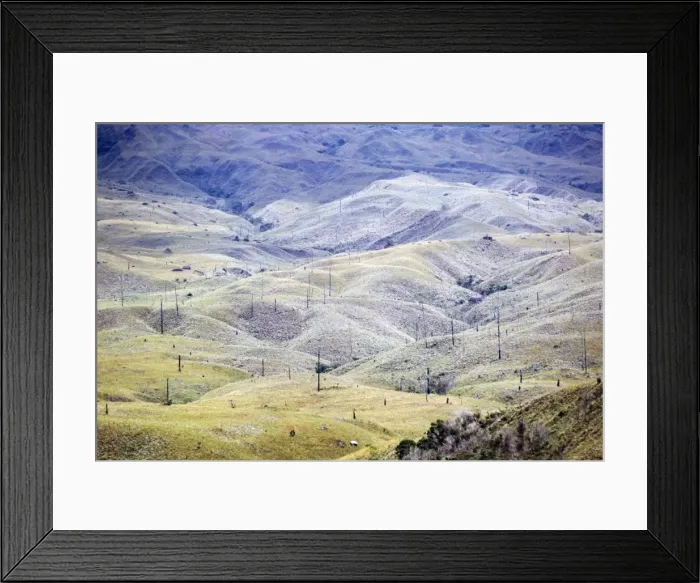 Framed Print : Aerial image of Venezuela, South America: Skeleton forest (damaged from forest fire) on La Gran Sabana, Canaima National Park, Bolivar State Framed Print : Aerial image of Venezuela, South America: Skeleton forest (damaged from forest fire) on La Gran Sabana, Canaima National Park, Bolivar State