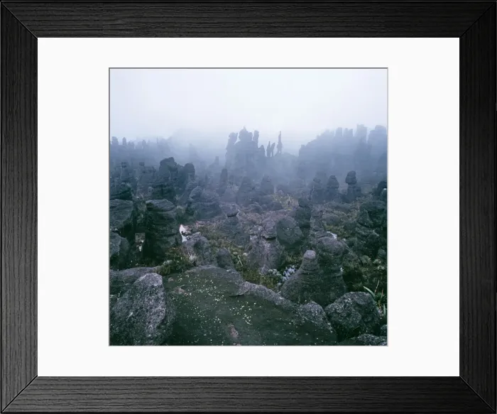 Framed Print : Summit of Mount Kukenaam (Kukenan, Kukenan, Cuguenan), rockshapes in mist, Estado Bolivar, Venezuela, South America Framed Print : Summit of Mount Kukenaam (Kukenan, Kukenan, Cuguenan), rockshapes in mist, Estado Bolivar, Venezuela, South America