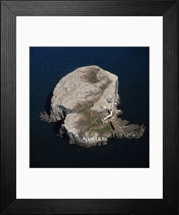Framed Print : Aerial image of Scotland, UK: Bass Rock (The Bass), Volcanic plug of Phonolite in the Firth of Forth, near Auldhame, East Lothian. Home to more than 150, 000 Gannets and is the largest single rock gannetry in the world Framed Print : Aerial image of Scotland, UK: Bass Rock (The Bass), Volcanic plug of Phonolite in the Firth of Forth, near Auldhame, East Lothian. Home to more than 150, 000 Gannets and is the largest single rock gannetry in the world