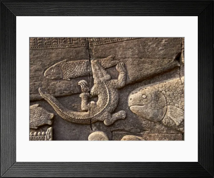 Framed Print : Angkor Bayon bas-reliefs Fish and crocodile - Cambodia Framed Print : Angkor Bayon bas-reliefs Fish and crocodile - Cambodia