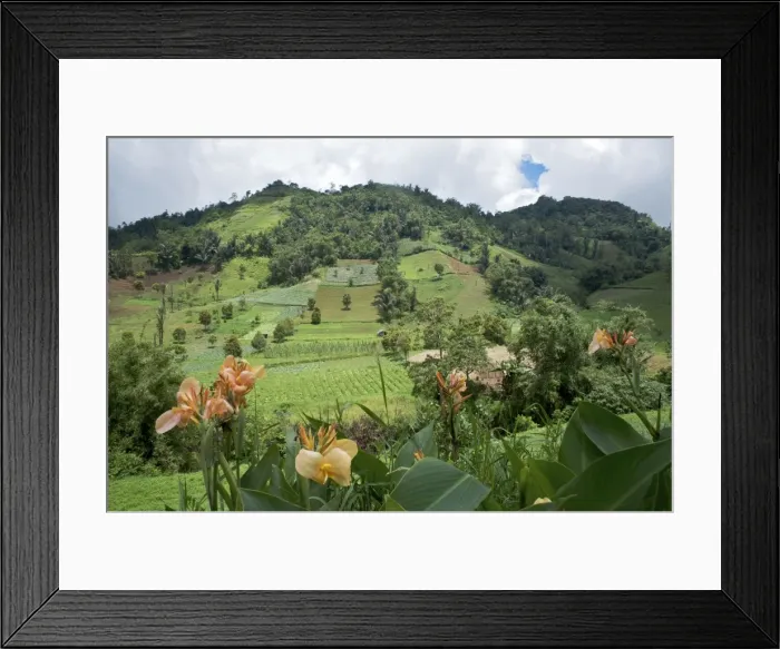 Framed Print : N. Sulawesi - minahasa highlands Farmland - Indonesia Framed Print : N. Sulawesi - minahasa highlands Farmland - Indonesia
