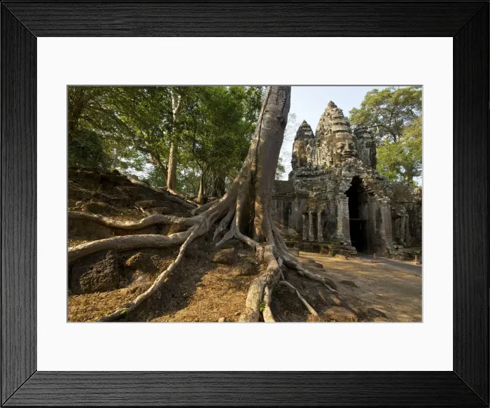Framed Print : Angkor gateway tree roots - Cambodia Framed Print : Angkor gateway tree roots - Cambodia