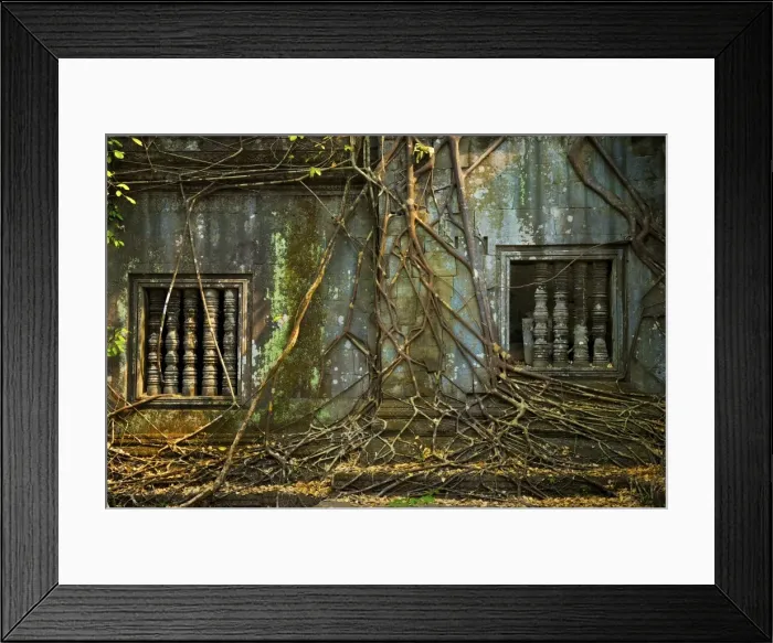 Framed Print : Angkor Beng Meala root covered wall - Cambodia Framed Print : Angkor Beng Meala root covered wall - Cambodia