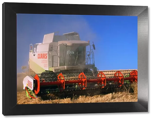 Farming - wheat harvest & combine harvester
