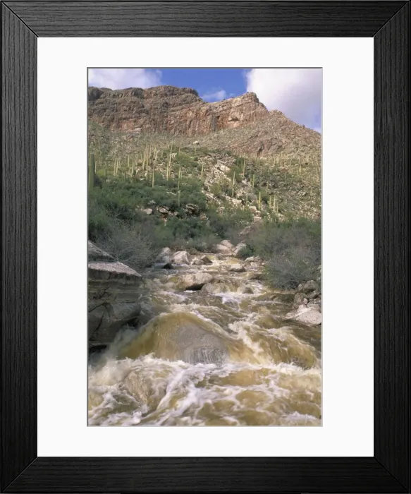 Framed Print : Desert wash flooding near Tucson, Arizona Framed Print : Desert wash flooding near Tucson, Arizona