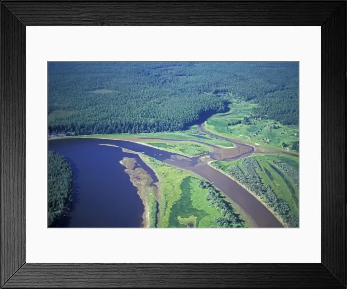 Framed Print : Siberian Taiga - Ural Mountains - Siberia Framed Print : Siberian Taiga - Ural Mountains - Siberia