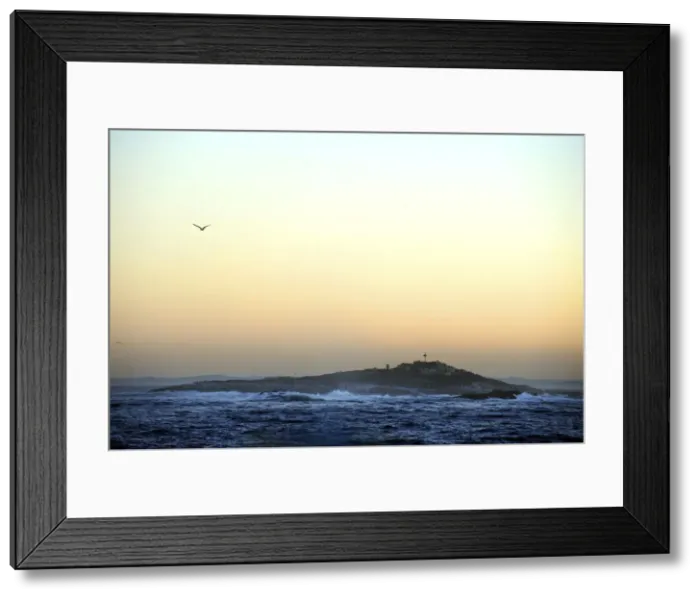 Framed Print : Seal Island - at dawn - False Bay, South Africa Framed Print : Seal Island - at dawn - False Bay, South Africa