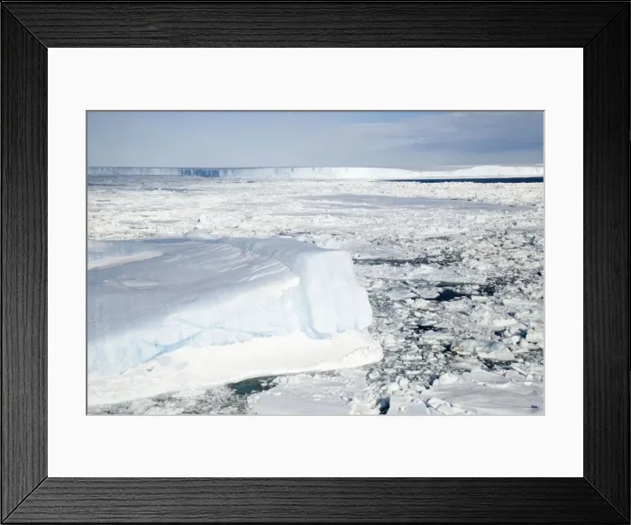Framed Print : Ice scenics - With pack ice and shelf - The Weddle Sea in the background, Antarctic, October Framed Print : Ice scenics - With pack ice and shelf - The Weddle Sea in the background, Antarctic, October