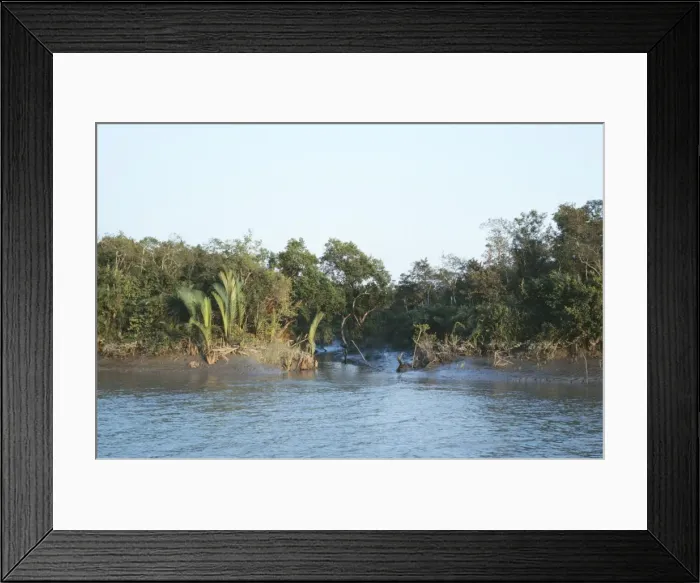 Framed Print : Bangladesh - khal or tide creek & forest in Sundarbands Framed Print : Bangladesh - khal or tide creek & forest in Sundarbands