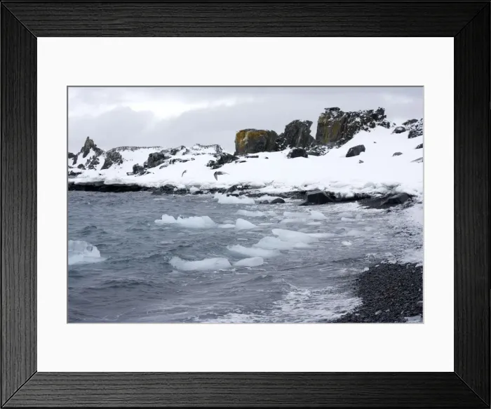 Framed Print : Half Moon Island - A small bay with sea ice and a fresh fall of snow on island with Antarctic Terns flying over the sea. Antarctic, October Framed Print : Half Moon Island - A small bay with sea ice and a fresh fall of snow on island with Antarctic Terns flying over the sea. Antarctic, October
