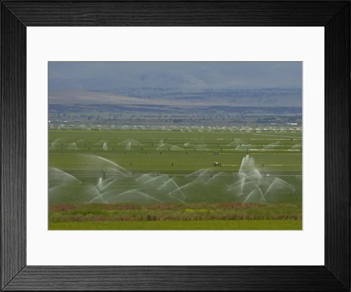 Framed Print : Irrigation of fertile valley Klamath Falls area Oregon, USA LA000819 Framed Print : Irrigation of fertile valley Klamath Falls area Oregon, USA LA000819
