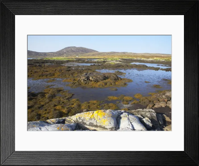 Framed Print : Loch Eynort at Low Tide Showing exposed beds of seaweed South Uist Outer Hebrides Scotland, UK LA003573 Framed Print : Loch Eynort at Low Tide Showing exposed beds of seaweed South Uist Outer Hebrides Scotland, UK LA003573