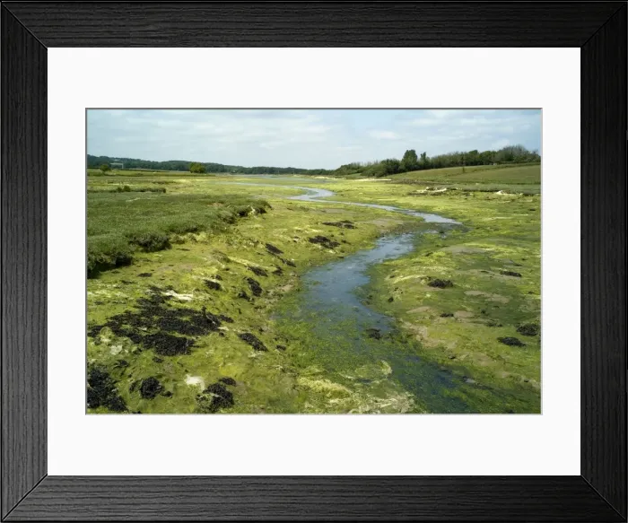 Framed Print : Newtown River estuary - Isle of Wight. This estuary of mudflats and saltmarshes is part of Newtown Harbour Nature Reserve. Certain species of birds use this site for nesting and over-wintering. May Framed Print : Newtown River estuary - Isle of Wight. This estuary of mudflats and saltmarshes is part of Newtown Harbour Nature Reserve. Certain species of birds use this site for nesting and over-wintering. May