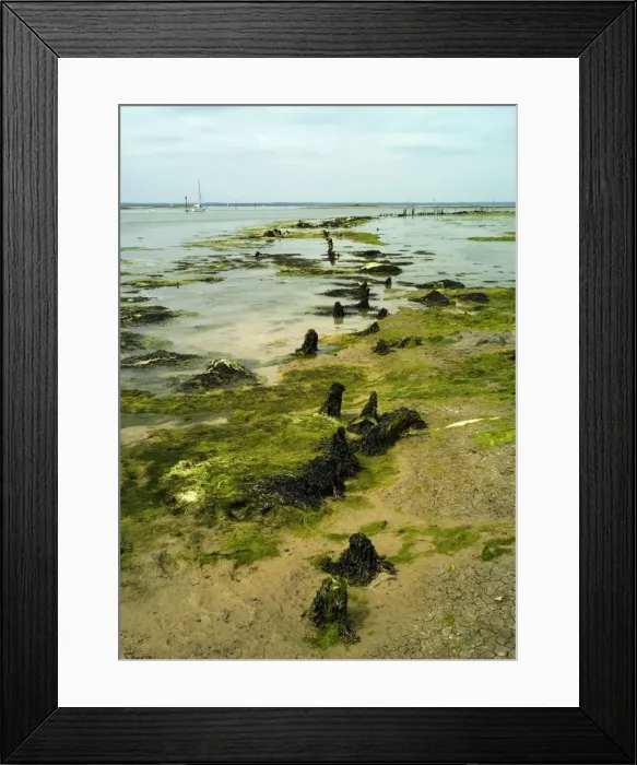 Framed Print : Newtown River estuary, Isle of Wight - This estuary of mudflats and saltmarshes is part of Newtown Harbour Nature Reserve. The old quay is still used extensively for yacht moorings. May