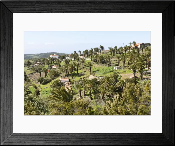 Framed Print : Alajero - a hill town of reasonable size with palm trees - Island of La Gomera - Canary Islands