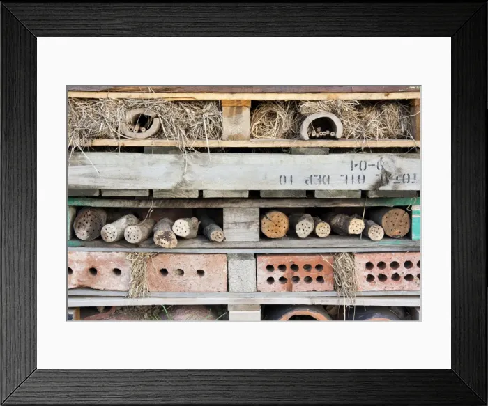 Framed Print : Bug box - elaborate hibernaculum for insects. England, UK Framed Print : Bug box - elaborate hibernaculum for insects. England, UK