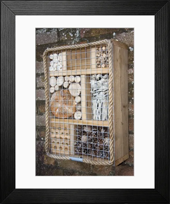 Framed Print : Bug box - wall mounted hibernaculum for insects and bugs. England, UK Framed Print : Bug box - wall mounted hibernaculum for insects and bugs. England, UK