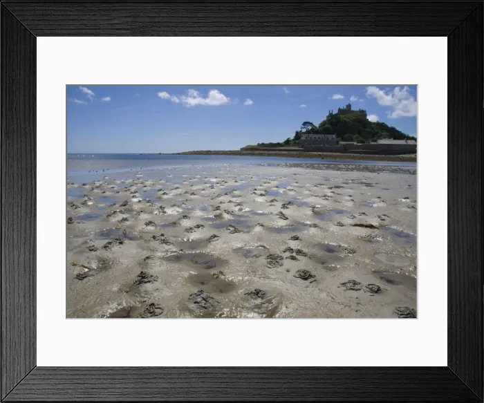 Framed Print : Lugworm casts - photographed at low tide with St Michael's Mount in the background. Cornwall, England Framed Print : Lugworm casts - photographed at low tide with St Michael's Mount in the background. Cornwall, England