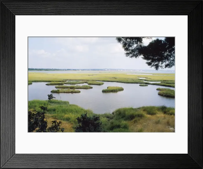 Framed Print : Arne Nature Reserve (RSPB) - Dorset UK Framed Print : Arne Nature Reserve (RSPB) - Dorset UK