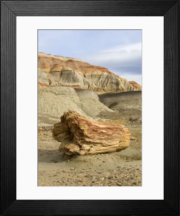 Framed Print : Fossil Wood - Sarmiento Petrified Forest Provincial Reserve. Petrified tree in Paleocene (Lower Tertiary) sedimentary rocks. Salamanquense Formation. Argentina - Province Chubut - Patagonia Framed Print : Fossil Wood - Sarmiento Petrified Forest Provincial Reserve. Petrified tree in Paleocene (Lower Tertiary) sedimentary rocks. Salamanquense Formation. Argentina - Province Chubut - Patagonia