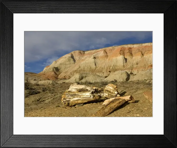 Framed Print : Fossil Wood - Sarmiento Petrified Forest Provincial Reserve. Petrified tree in Paleocene (Lower Tertiary) sedimentary rocks. Salamanquense Formation. Argentina - Province Chubut - Patagonia Framed Print : Fossil Wood - Sarmiento Petrified Forest Provincial Reserve. Petrified tree in Paleocene (Lower Tertiary) sedimentary rocks. Salamanquense Formation. Argentina - Province Chubut - Patagonia