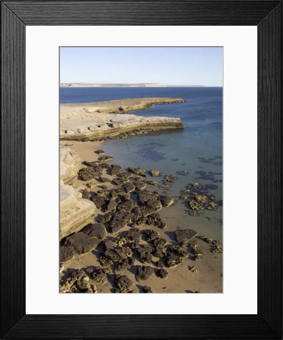 Framed Print : Argentina - Valdes Peninsula, Province Chubut, Low tide in Golfo Nuevo, at Punta Pardela, near Puerto Piramide. Exposed horizontal rock layers are the 20 Million year old marine Patagonia formation Framed Print : Argentina - Valdes Peninsula, Province Chubut, Low tide in Golfo Nuevo, at Punta Pardela, near Puerto Piramide. Exposed horizontal rock layers are the 20 Million year old marine Patagonia formation