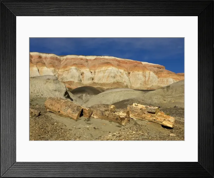 Framed Print : Fossil Wood - Sarmiento Petrified Forest Provincial Reserve. Petrified tree in Paleocene (Lower Tertiary) sedimentary rocks. Salamanquense Formation. Argentina - Province Chubut - Patagonia Framed Print : Fossil Wood - Sarmiento Petrified Forest Provincial Reserve. Petrified tree in Paleocene (Lower Tertiary) sedimentary rocks. Salamanquense Formation. Argentina - Province Chubut - Patagonia