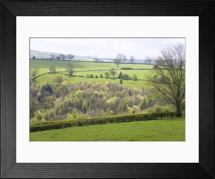 Framed Print : Upland Pasture and Woodland April 2007 Peak District Derbyshire UK Framed Print : Upland Pasture and Woodland April 2007 Peak District Derbyshire UK