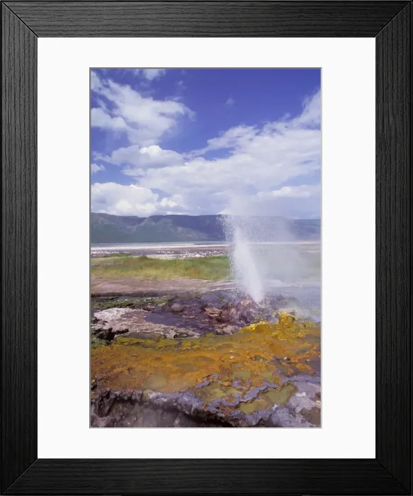 Framed Print : Lake Bogoria - soda lake with hot springs and geysers habitat of flamingos -Great Rift Valley - Kenya JFL12867 Framed Print : Lake Bogoria - soda lake with hot springs and geysers habitat of flamingos -Great Rift Valley - Kenya JFL12867