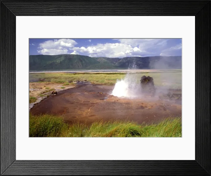 Framed Print : Lake Bogoria - soda lake with hot springs and geysers habitat of flamingos -Great Rift Valley - Kenya JFL12865 Framed Print : Lake Bogoria - soda lake with hot springs and geysers habitat of flamingos -Great Rift Valley - Kenya JFL12865