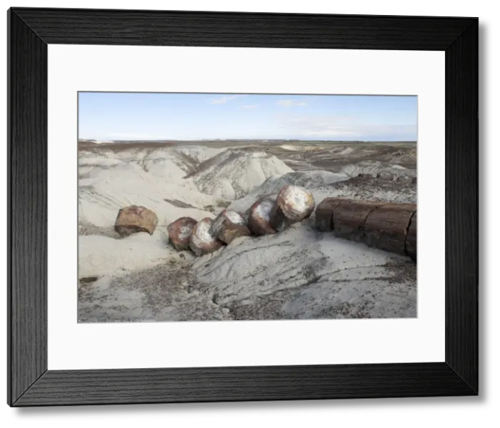 Framed Print : Petrified Forest National Park, Arizona, USA Framed Print : Petrified Forest National Park, Arizona, USA