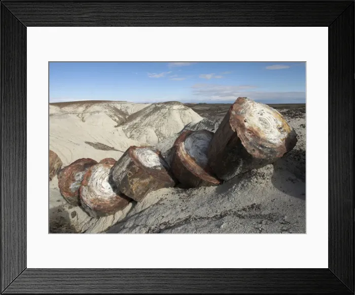 Framed Print : Petrified Forest National Park, Arizona, USA Framed Print : Petrified Forest National Park, Arizona, USA