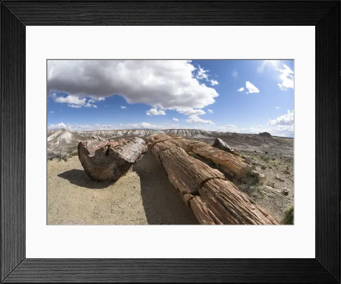 Framed Print : Petrified Wood, Petrified Forest National Park, Ariozona, USA Framed Print : Petrified Wood, Petrified Forest National Park, Ariozona, USA
