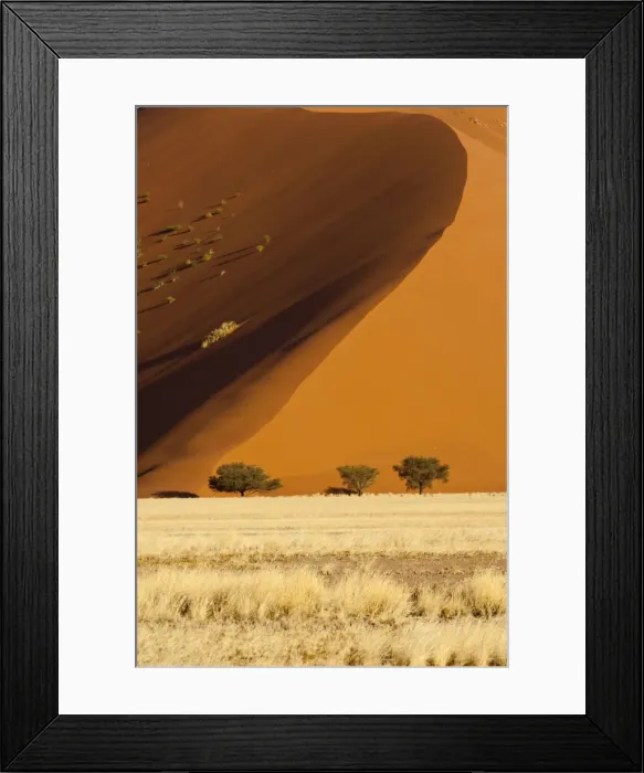 Framed Print : Sand dune and trees - Sossusvlei - Namibia Framed Print : Sand dune and trees - Sossusvlei - Namibia