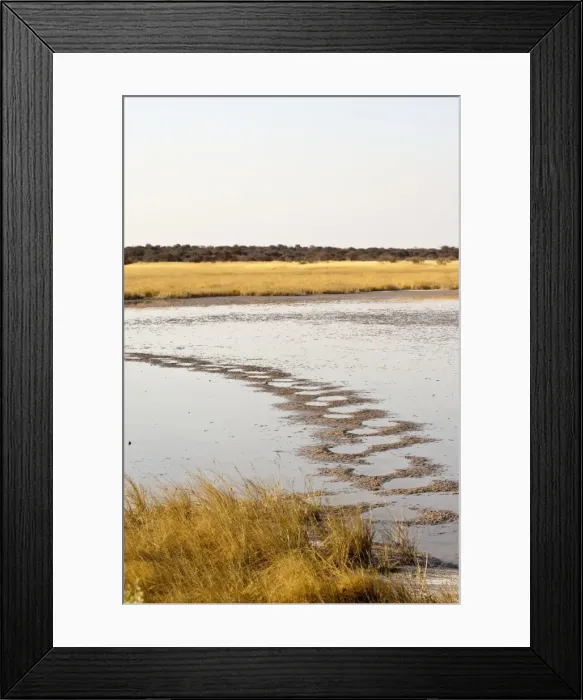 Framed Print : Salt pan - elephant tracks across salt pan - Etosha National Park - Namibia Framed Print : Salt pan - elephant tracks across salt pan - Etosha National Park - Namibia