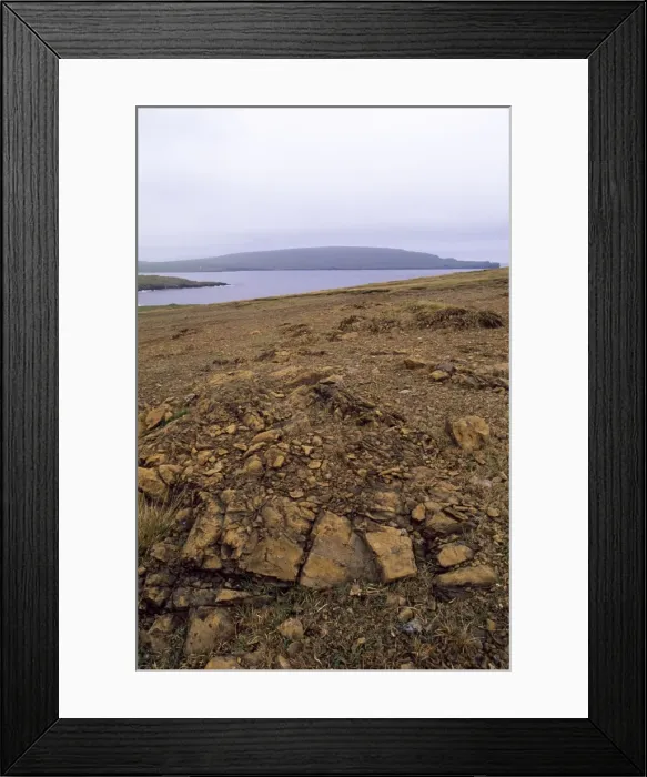 Framed Print : Unst - Shetland Islands - Keen of Hammar National Nature Reserve. The Reserve is made up of Serpentine debris Framed Print : Unst - Shetland Islands - Keen of Hammar National Nature Reserve. The Reserve is made up of Serpentine debris