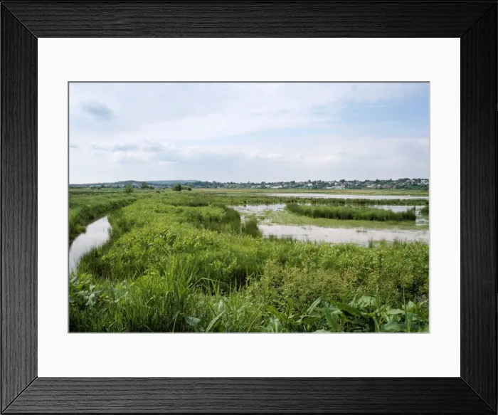 Framed Print : Pulborough Brooks Nature Reserve (RSPB) - UK Framed Print : Pulborough Brooks Nature Reserve (RSPB) - UK