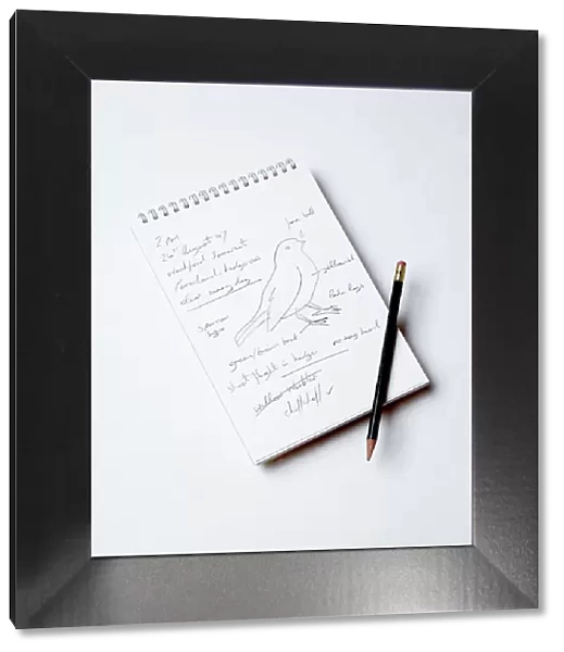 Bird Watcher's Notebook - and pencil