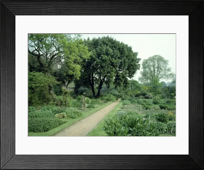Framed Print : Chelsea Physic Garden, UK Framed Print : Chelsea Physic Garden, UK