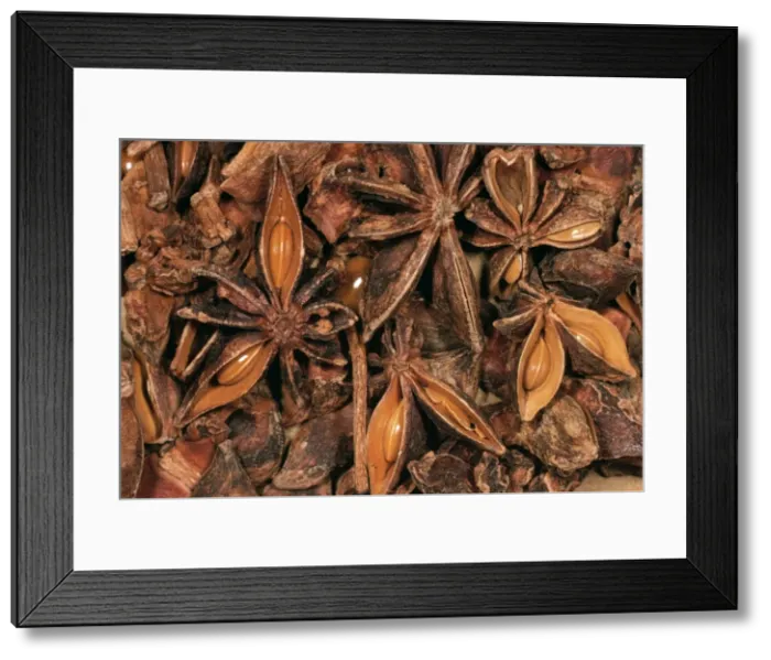 Framed Print : Star Annie Seeds Framed Print : Star Annie Seeds