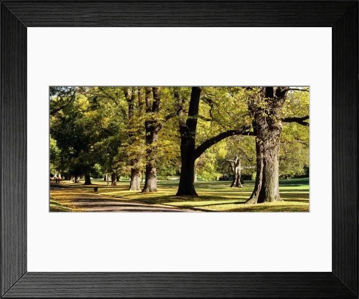 Framed Print : Fitzroy Gardens Melbourne, Victoria, Australia JLR07067 Framed Print : Fitzroy Gardens Melbourne, Victoria, Australia JLR07067