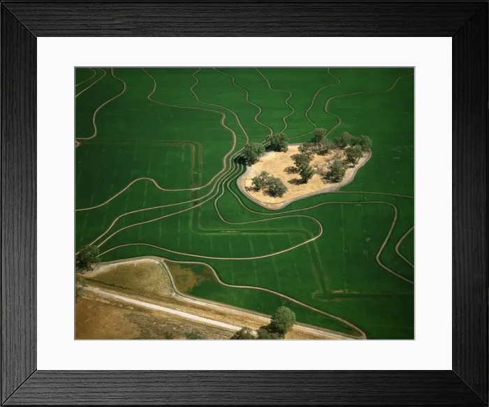 Framed Print : Aerial - Ricefield - Barham, New South Wales, Australia JLR06357 Framed Print : Aerial - Ricefield - Barham, New South Wales, Australia JLR06357