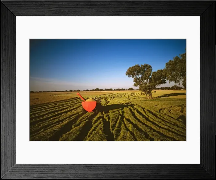 Framed Print : Rice harvesting Deniliquin, New South Wales, Australia JLR01543 Framed Print : Rice harvesting Deniliquin, New South Wales, Australia JLR01543