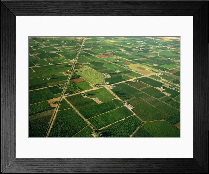 Framed Print : Aerial - Citrus and apricot orchards - Murray River irrigation area Mildura, Victoria, Australia JLR06622 Framed Print : Aerial - Citrus and apricot orchards - Murray River irrigation area Mildura, Victoria, Australia JLR06622